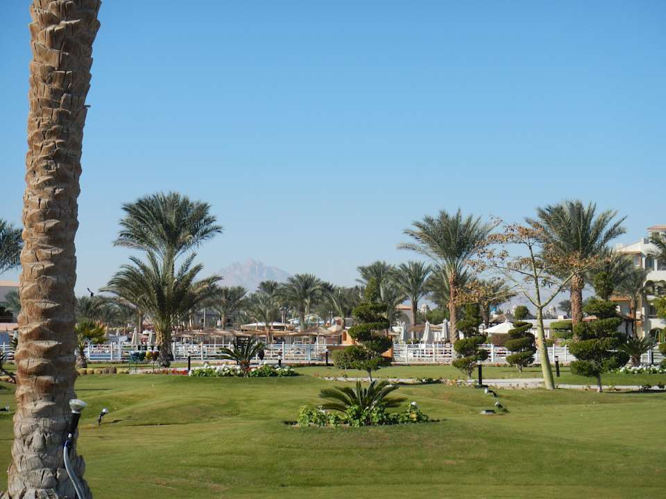 Gepflegte Parkanlage im Hotel Pickalbatros Dana Beach Resort - Hurghada