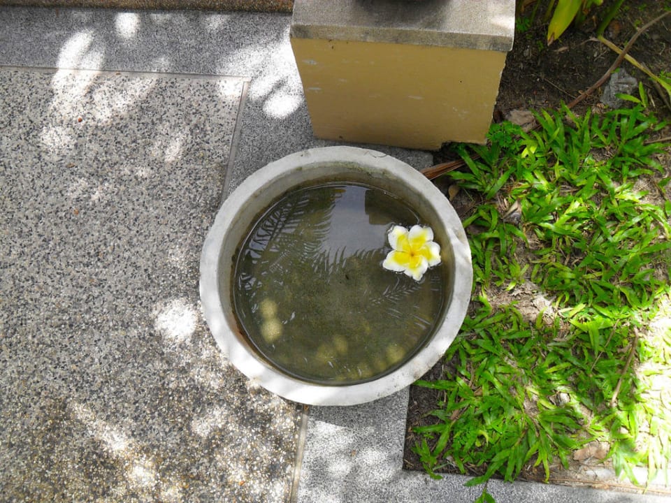 Beach Bungalow The Fair House Beach Resort