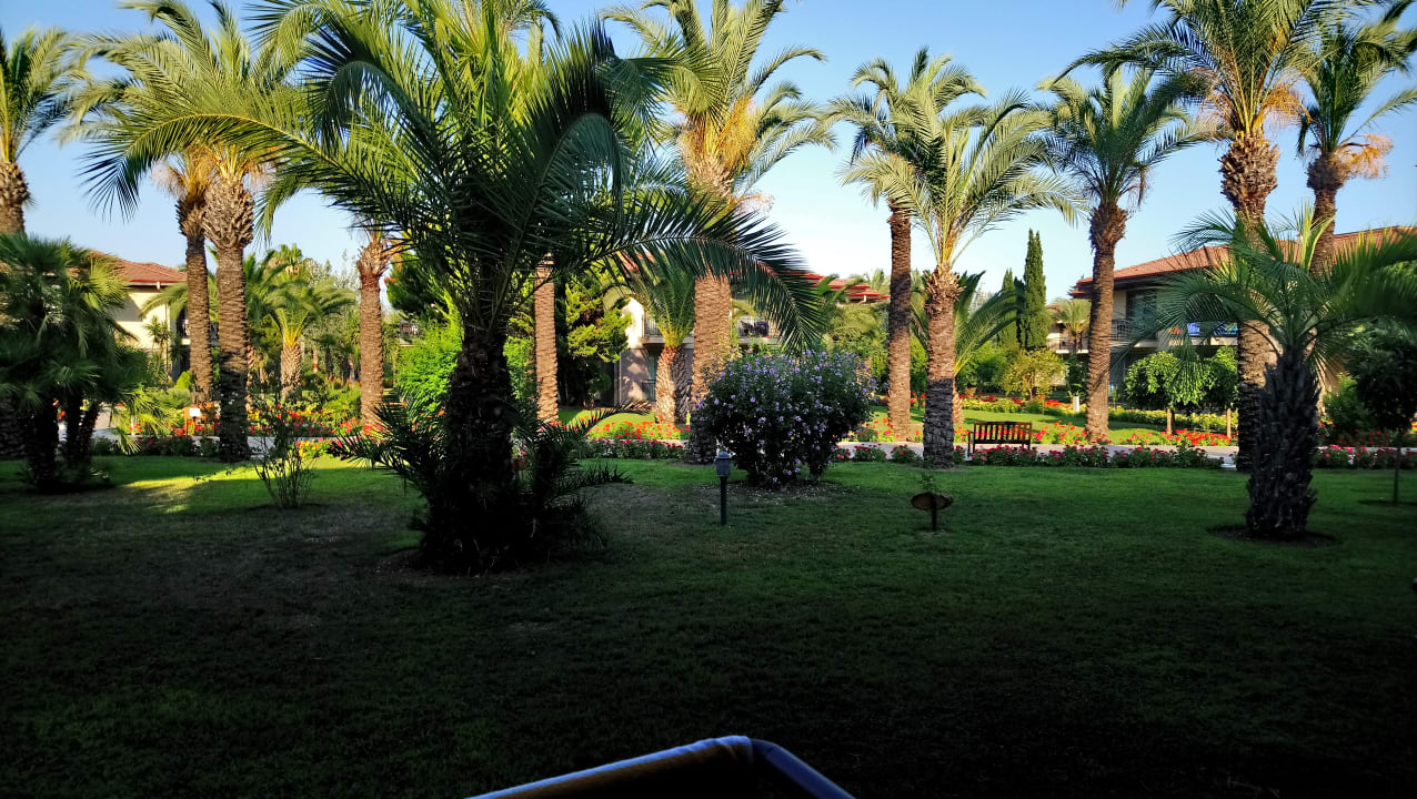 Außenansicht TUI BLUE Palm Garden