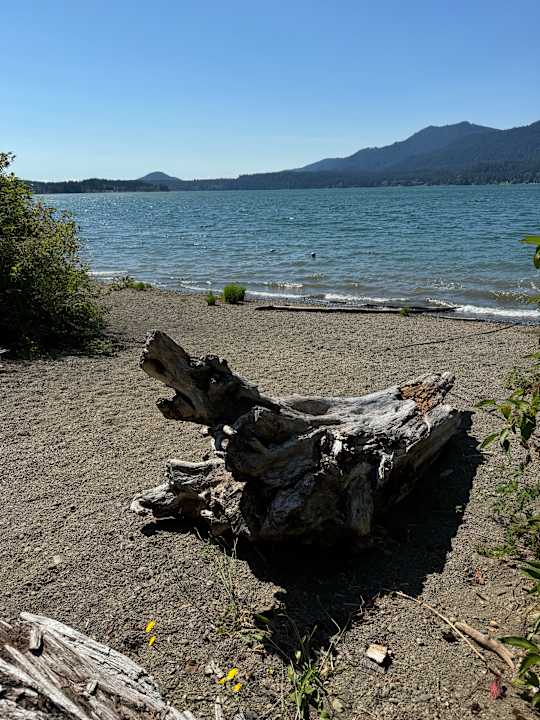 Strand Lake Quinault Lodge