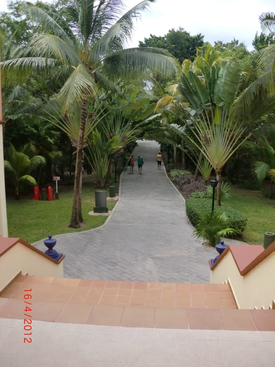 Garten Hotel Riu Tequila