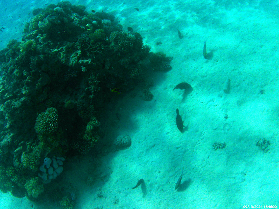 Strand The V Luxury Resort Sahl Hasheesh