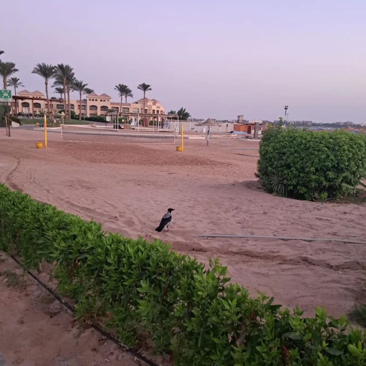 Sport & Freizeit Cleopatra Luxury Resort Makadi Bay