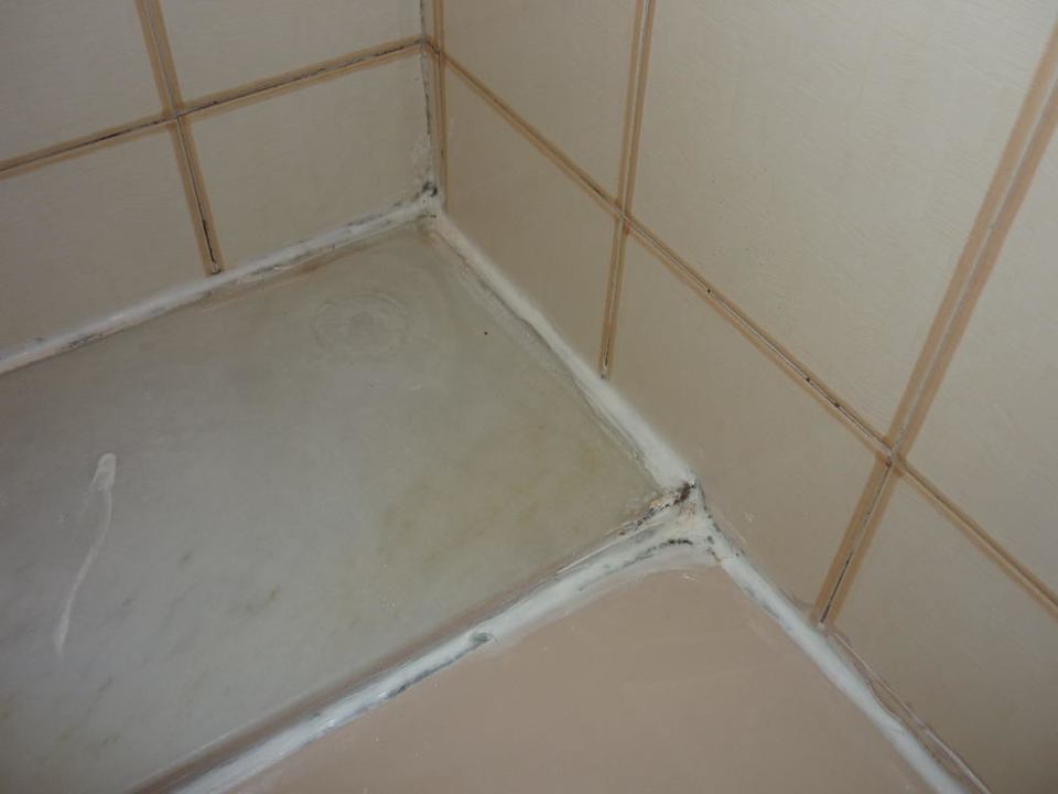 Nochmal Schimmel Hotel Pinoverde del Golf