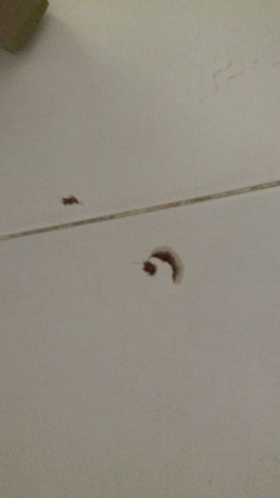 Kaputte Fliese One Resort Aqua Park & Spa