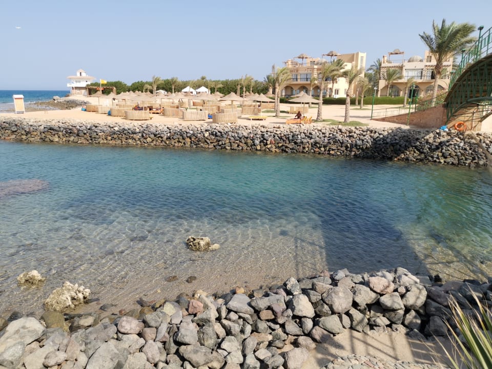 Ausblick Desert Rose