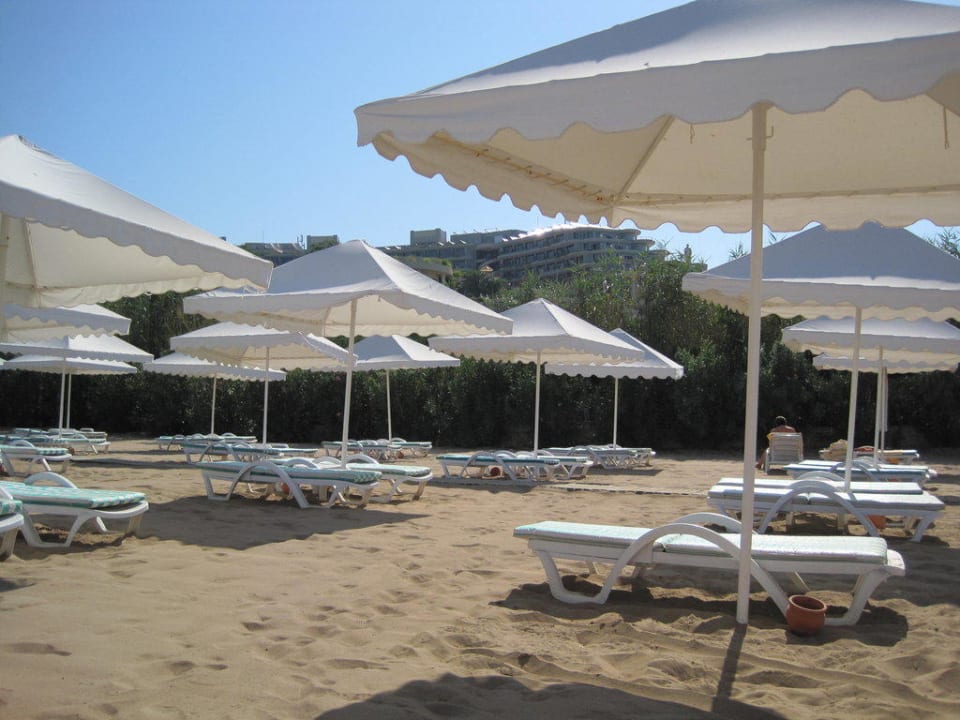 Strand Arum Barut Collection