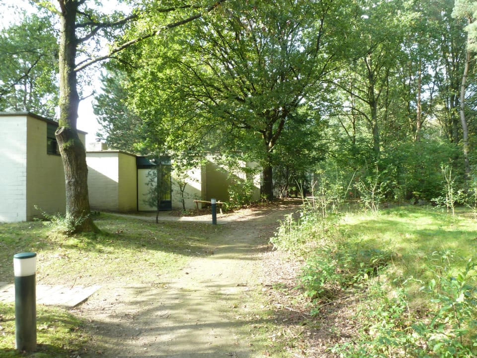 Premium-Bungalows Center Parcs De Kempervennen