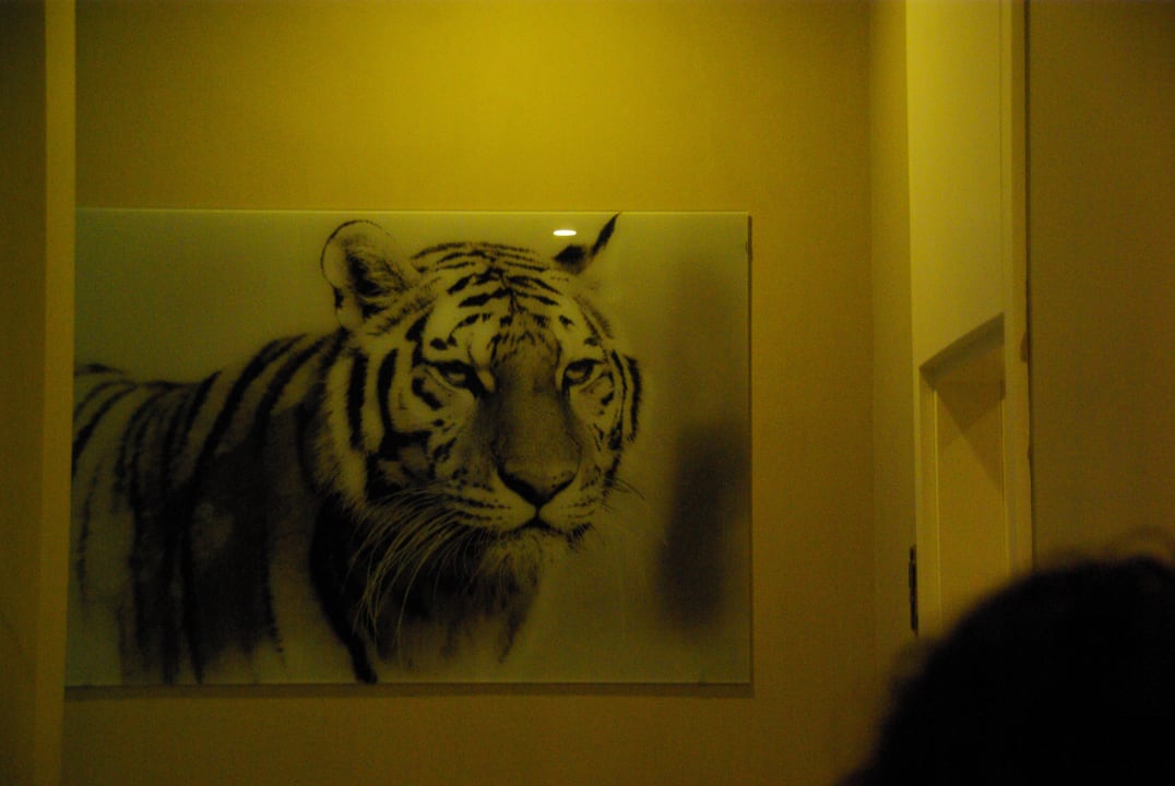 Sonstiges Well Palace Side