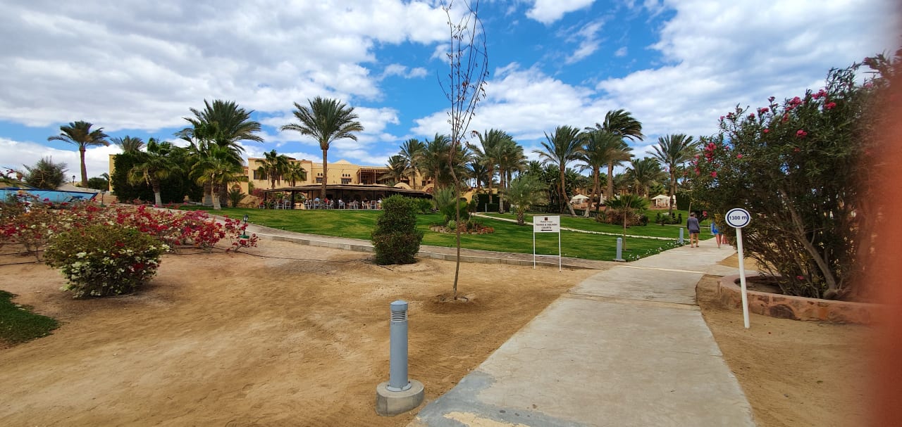 Gartenanlage Steigenberger Coraya Beach - Adults only