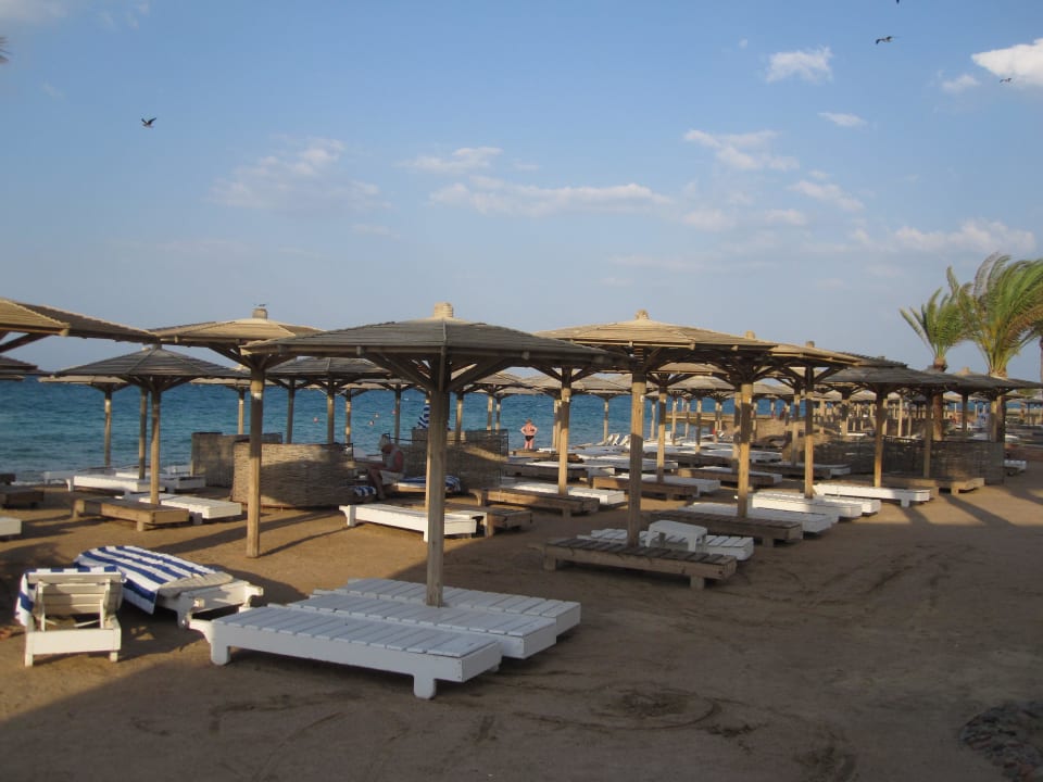 Relaxing Palm Beach Resort