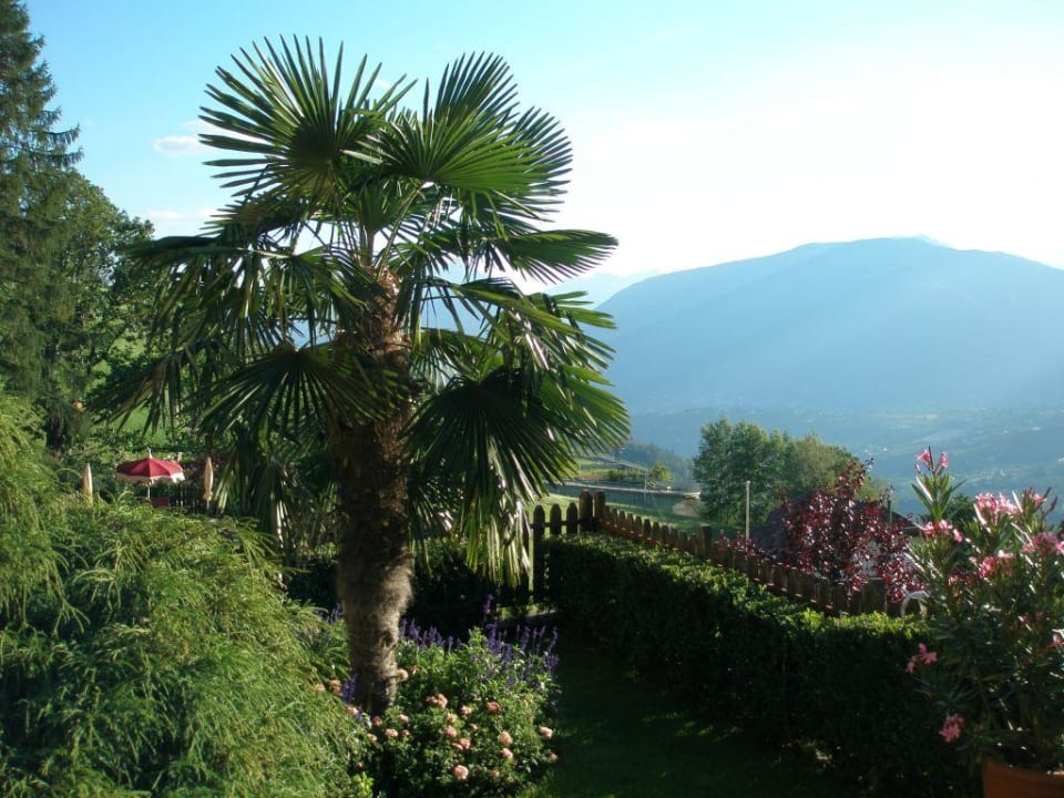 Garten Hotel Fürstenhof