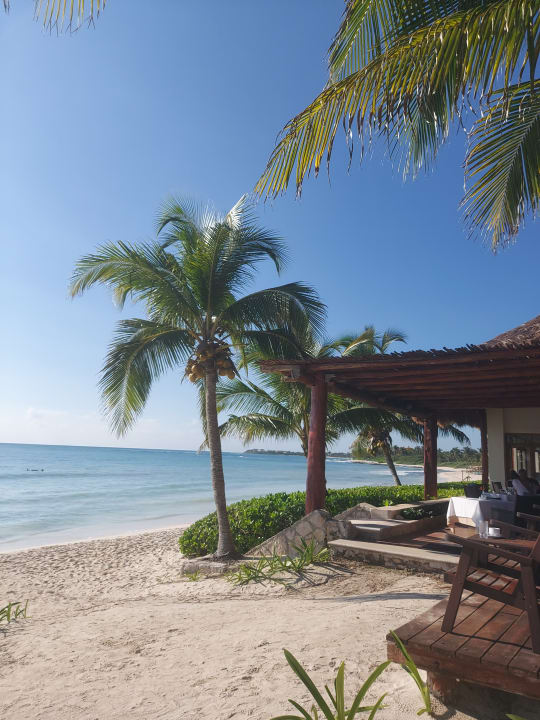 Gartenanlage Akumal Bay Beach & Wellness Resort