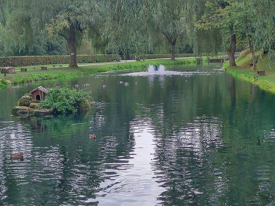 Gartenanlage Hotel Zur Alten Mühle