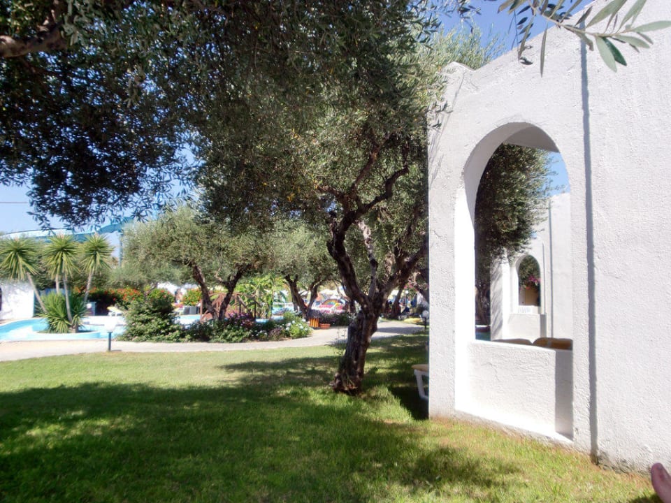 Blick aus Bungalow in Poolnähe TUI KIDS CLUB Alex Beach