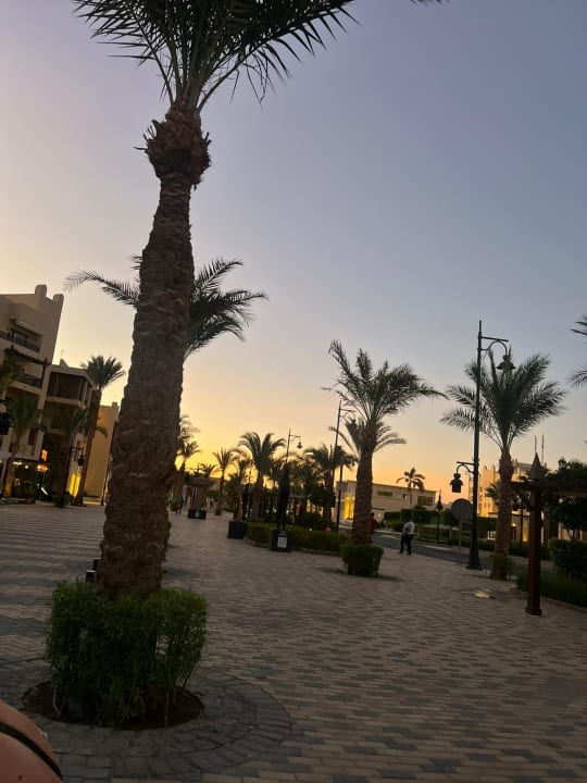 Ausblick Steigenberger Aqua Magic