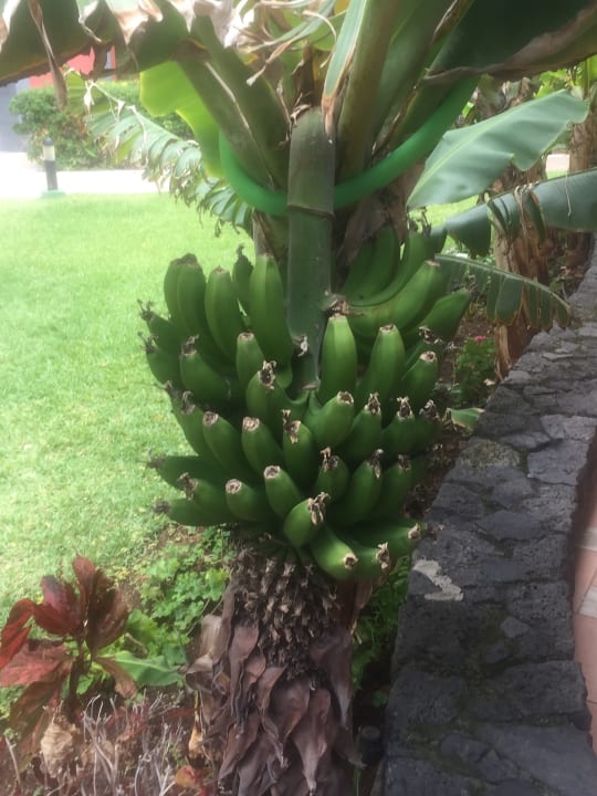 Gartenanlage Bahia Principe Sunlight San Felipe