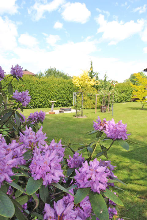 Gartenanlage Haus Falle