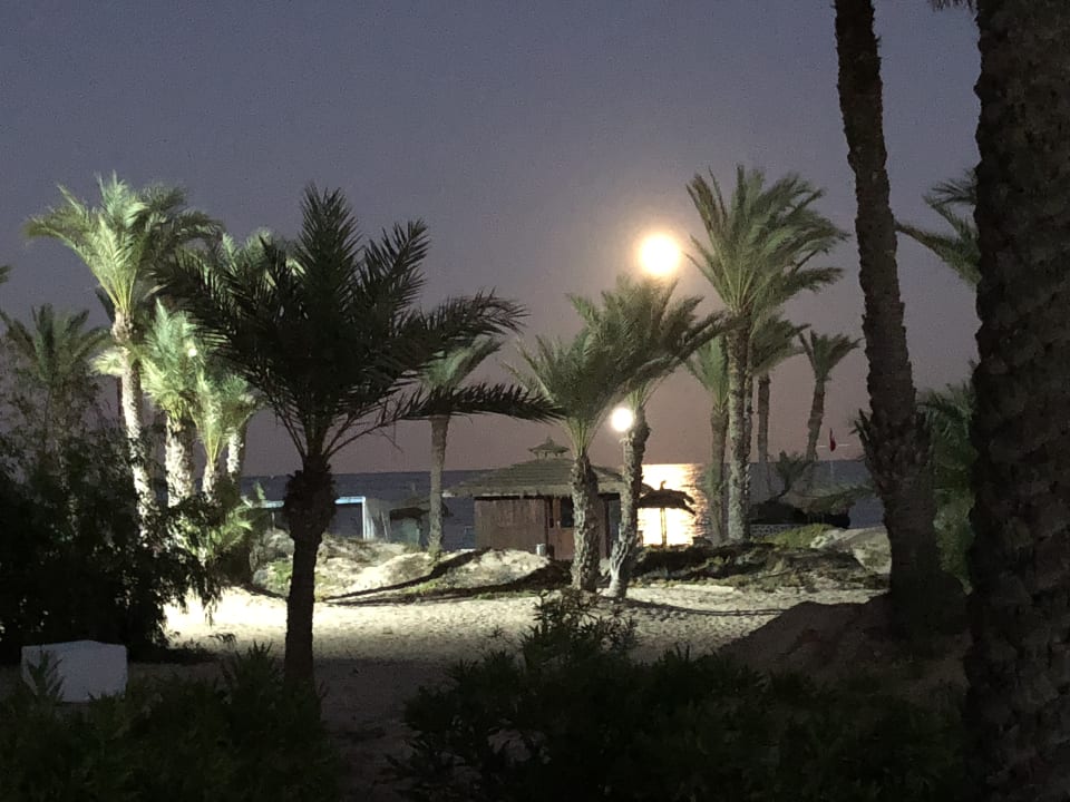 Ausblick Hotel El Mouradi Djerba Menzel