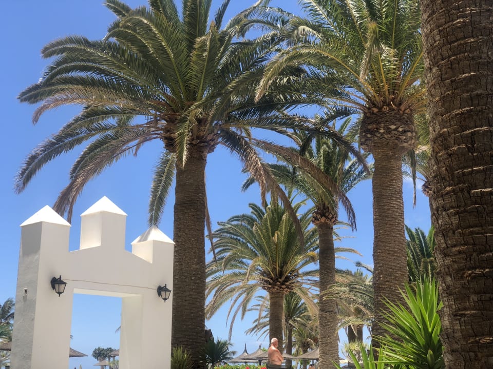 Gartenanlage Paradisus by Meliá Salinas Lanzarote