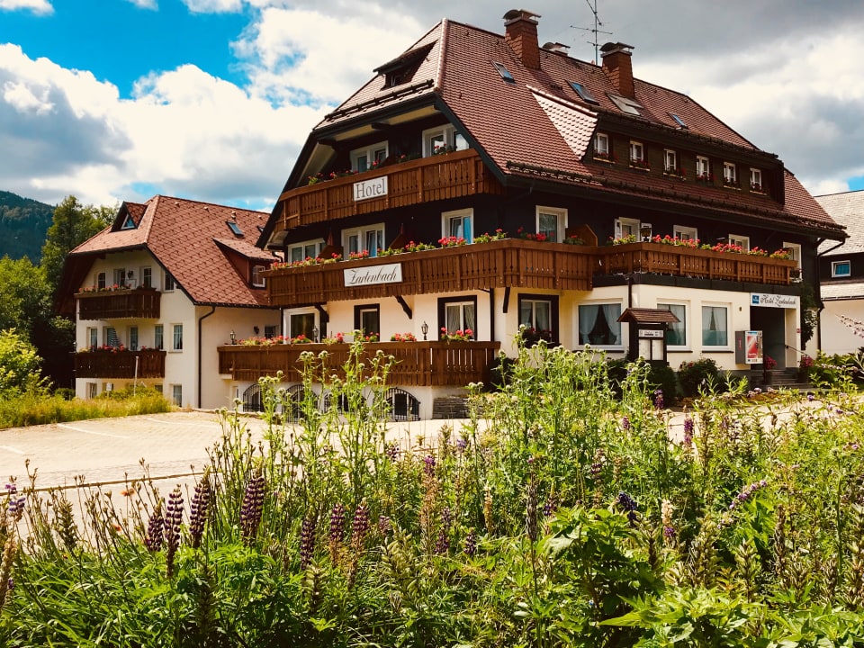 "Außenansicht" Hotel Zartenbach B&B (Hinterzarten) • HolidayCheck ...