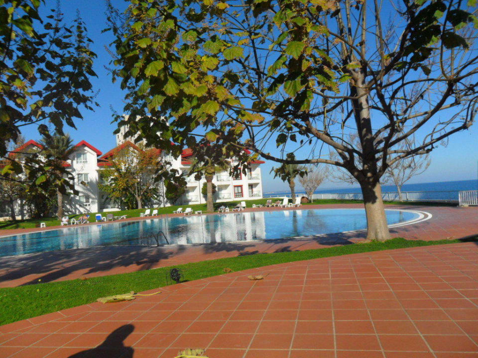 Pool im Herbst Salamis Bay Conti Resort Hotel & Casino