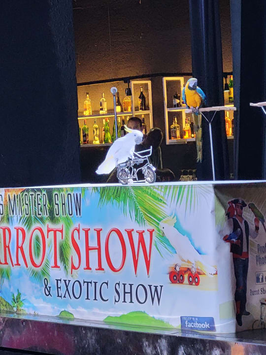 Sport & Freizeit Hotel Vibra Beverly Playa