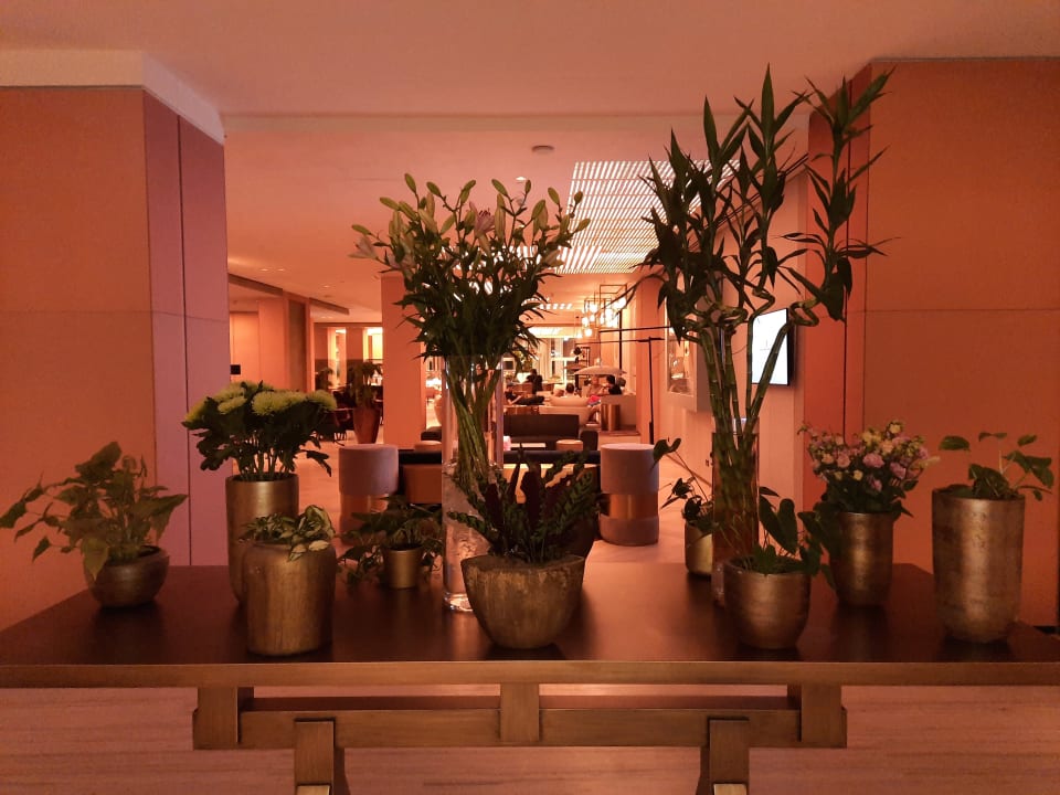 Sonstiges Rixos Gulf Hotel Doha