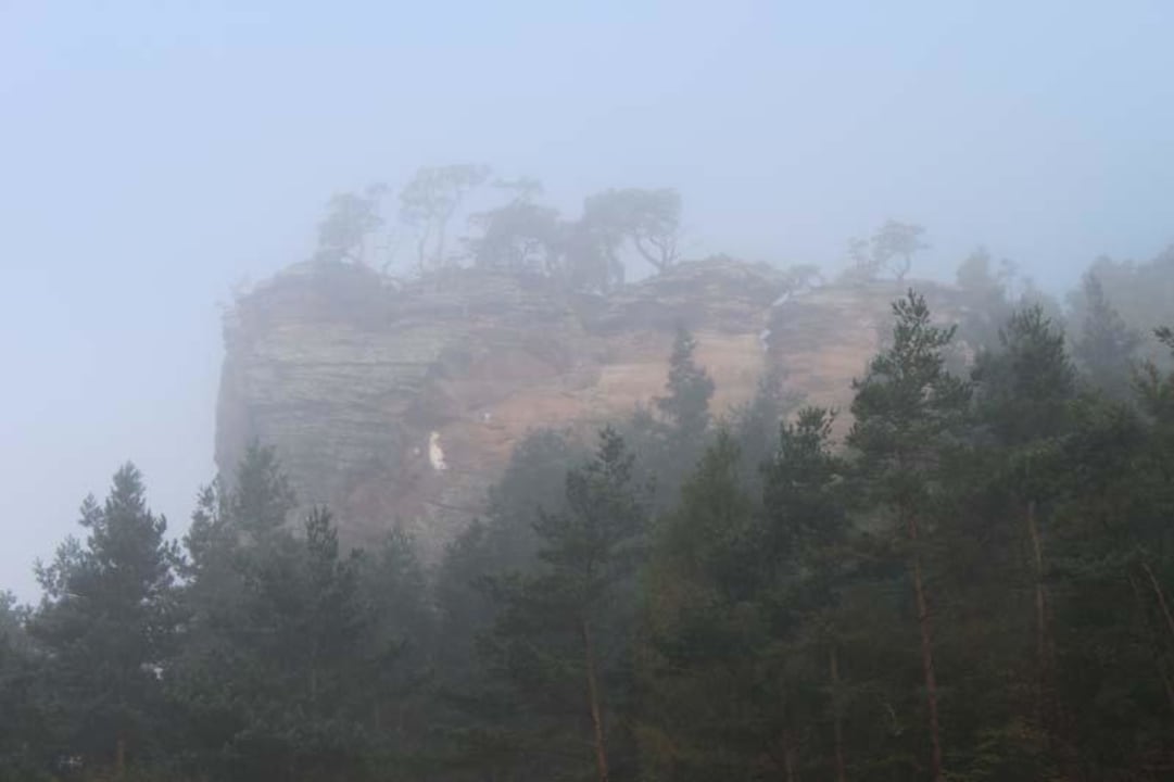 Felsen im Glastal Hotel Die kleine Blume