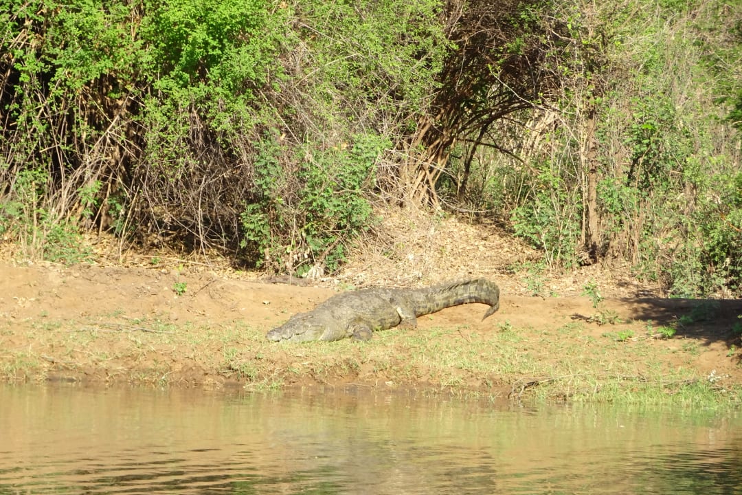 Ausblick Chongwe River Camp