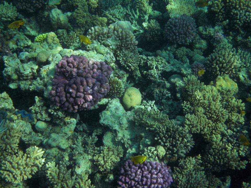 Riff Titanic Beach Spa & Aqua Park