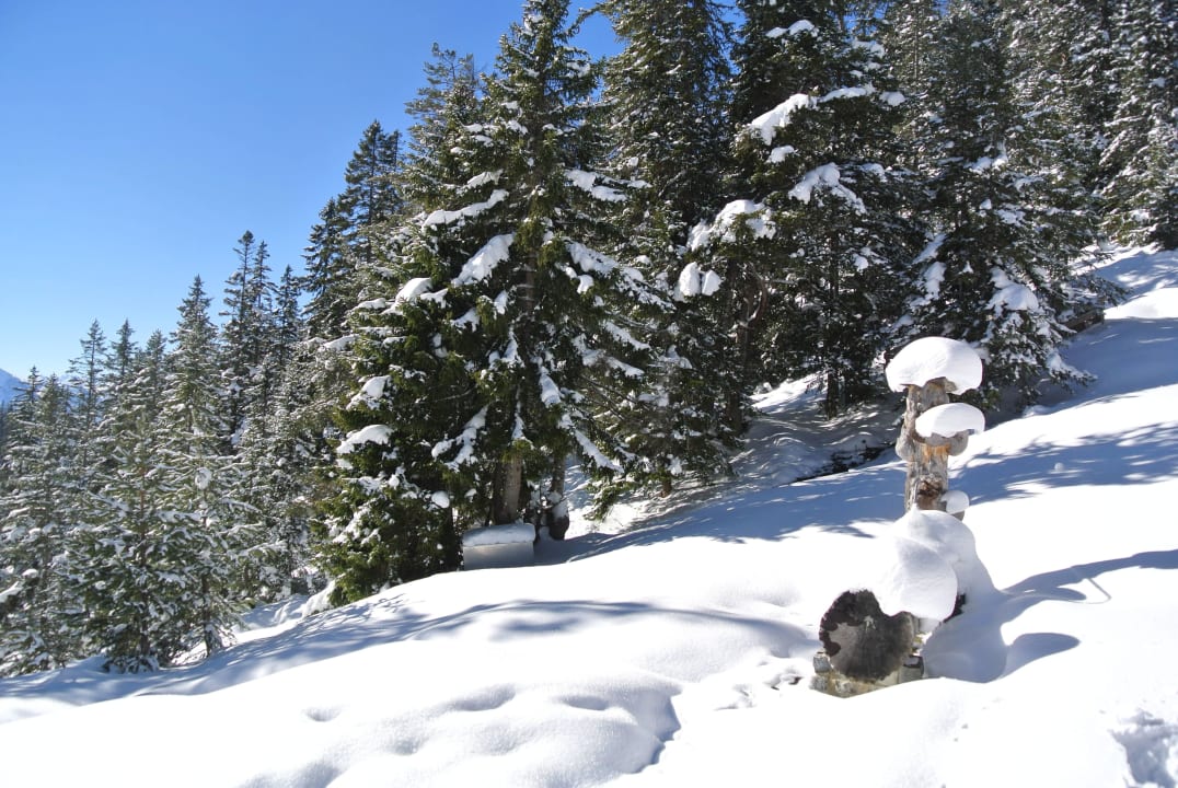 Excursion en raquettes  Alpenresort Schwarz