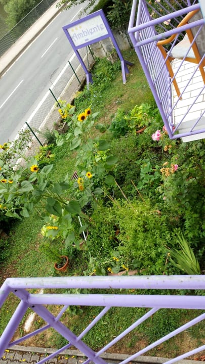 Gepflegter Außengarten... Hotel Neckarlux