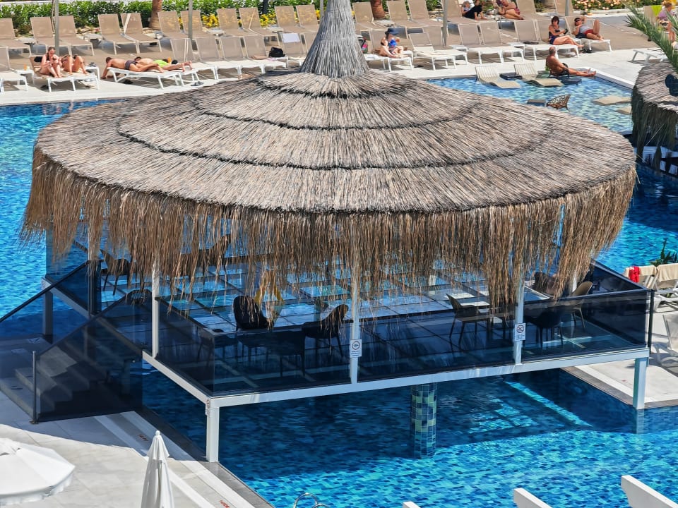 Pool Dream Water World