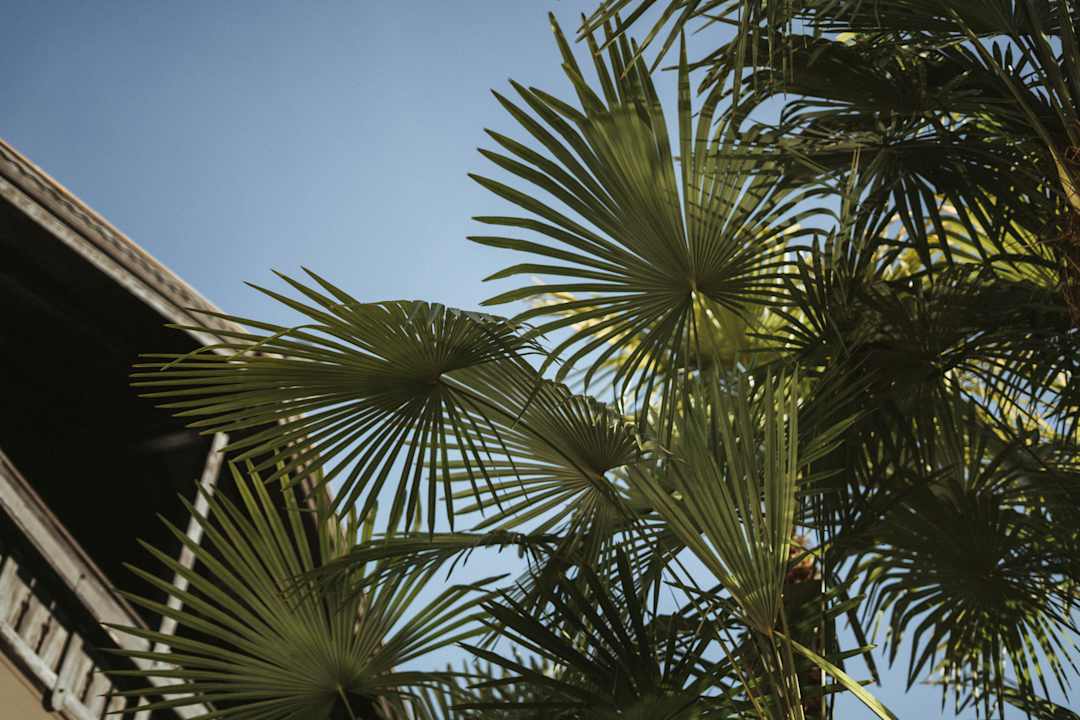 Außenansicht Tirolensis - Luxury All Inclusive