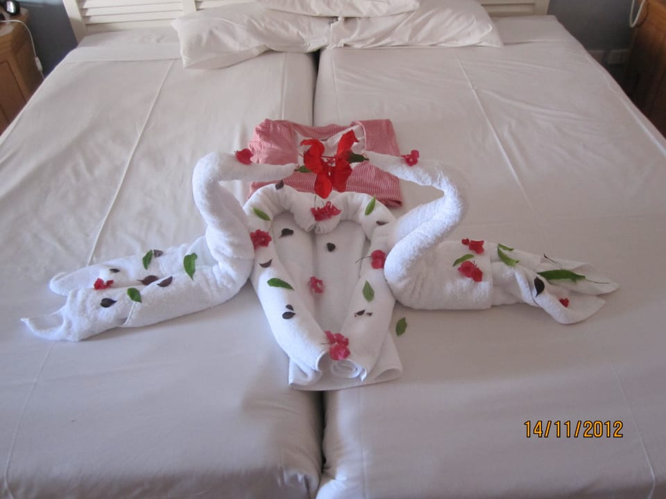 Reinigung Sheraton Sharm Hotel, Resort, Villas & Spa