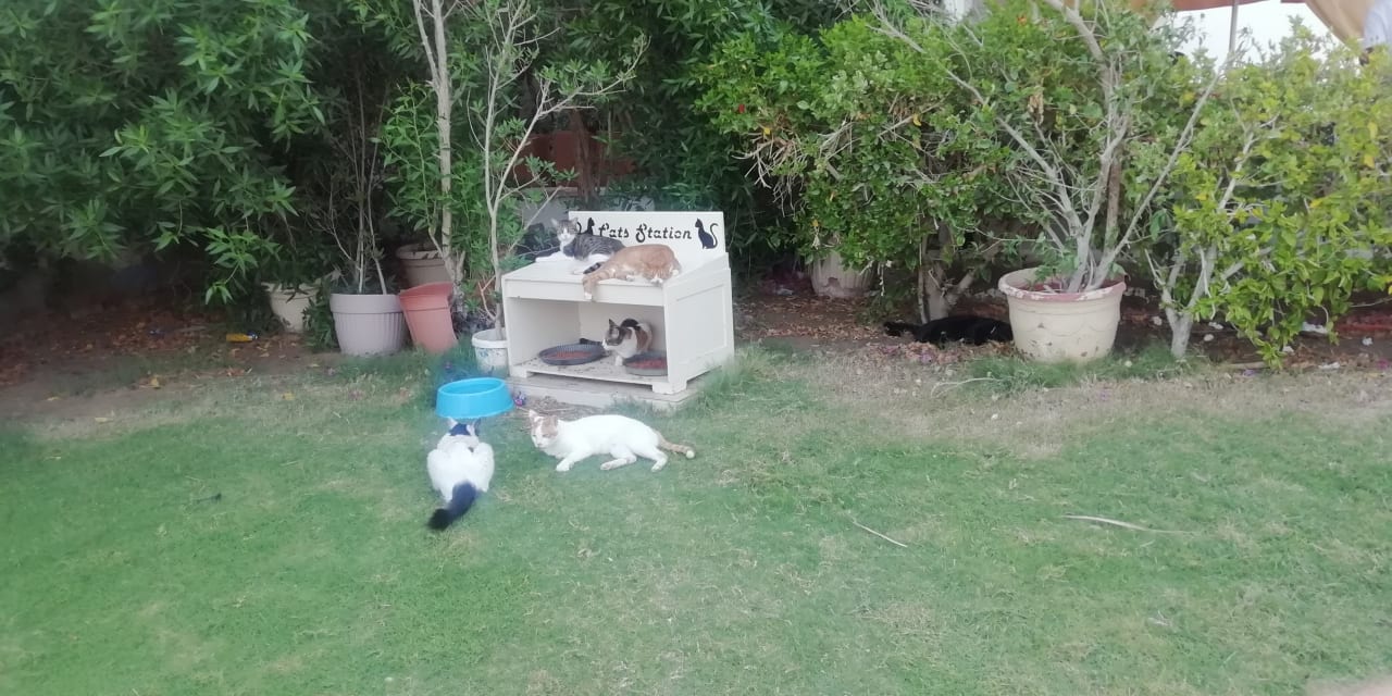 Sonstiges The Grand Hotel Hurghada