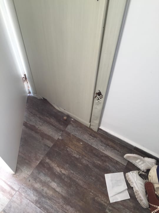 Sehr dreckig Bitez Garden Life