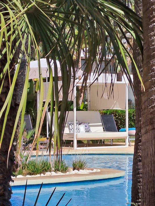 Gartenanlage allsun App.-Hotel Orquidea Playa