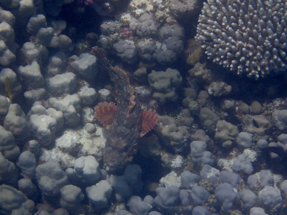 Strand Makadi Spa - Adults only