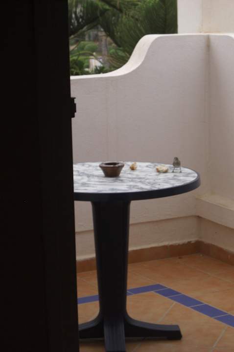 Balkon Iberostar Waves Founty Beach