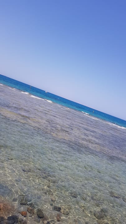 Ausblick Desert Rose