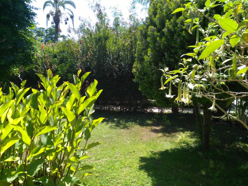 Gartenanlage Belconti Resort Hotel