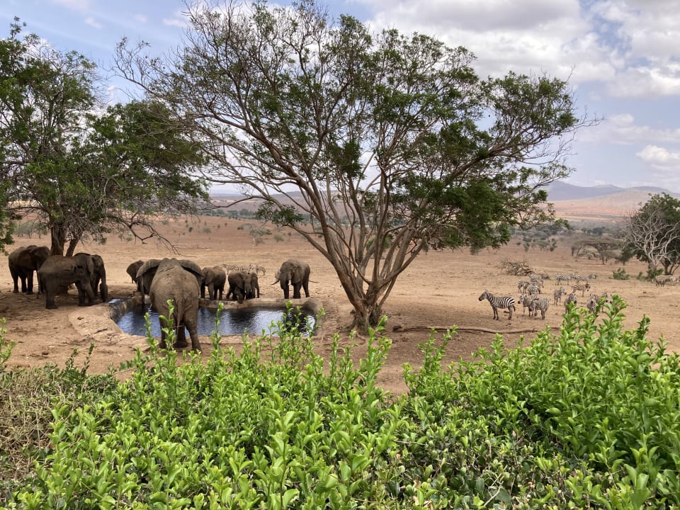 Ausblick Salt Lick Safari Lodge