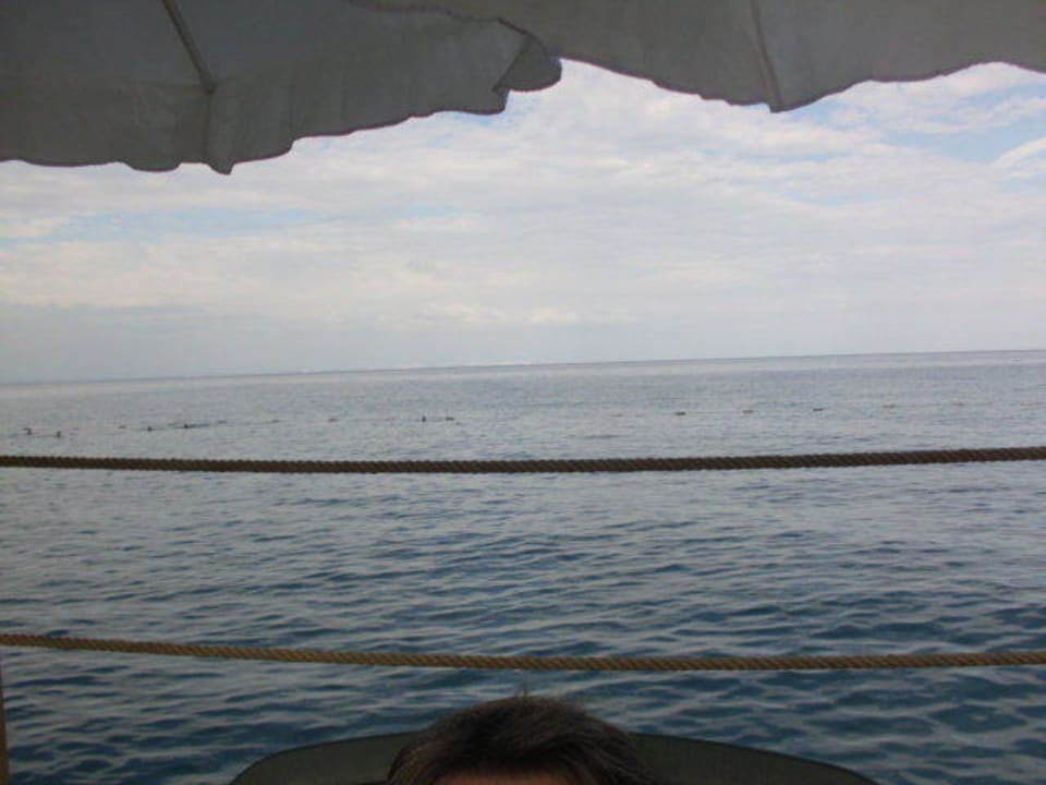 Zzzzz Crystal Flora Pearl Collection