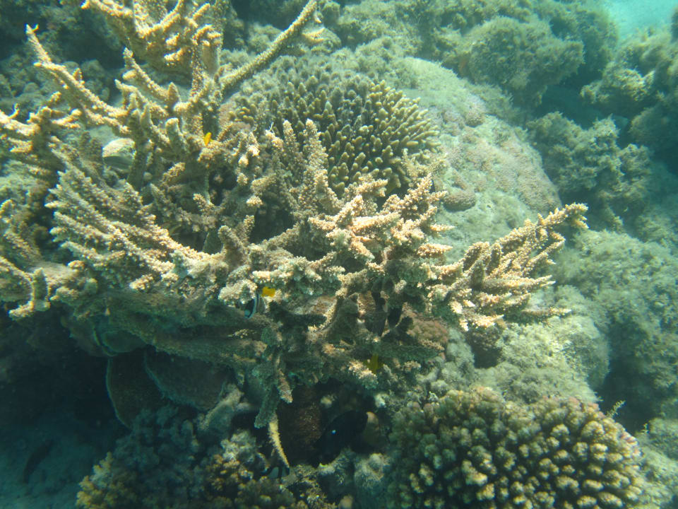 Sport & Freizeit Shams Prestige Abu Soma-Adults Only