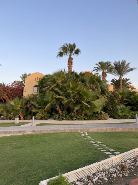 Gartenanlage Steigenberger Coraya Beach - Adults only