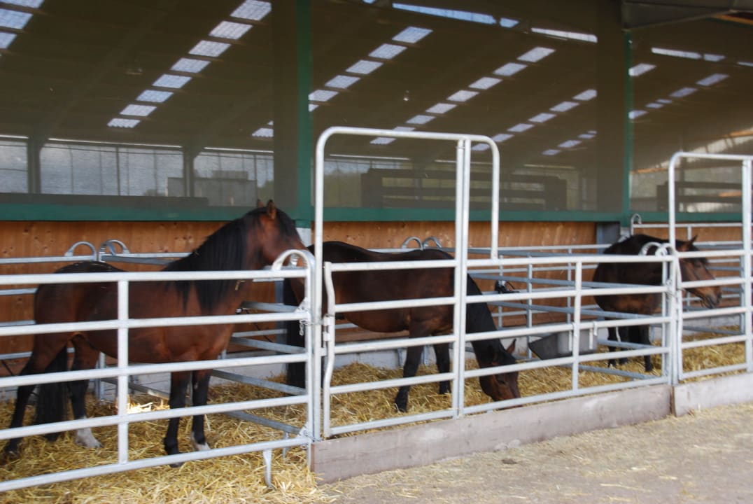 Pferdestall Landhuus Laurenz