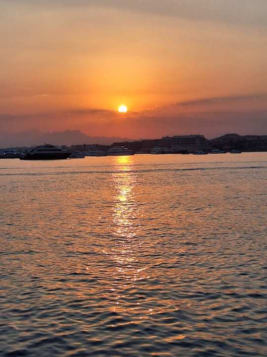 Sonstiges Shams Prestige Abu Soma-Adults Only