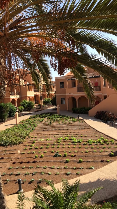 Gartenanlage Bakour Fuerteventura La Pared
